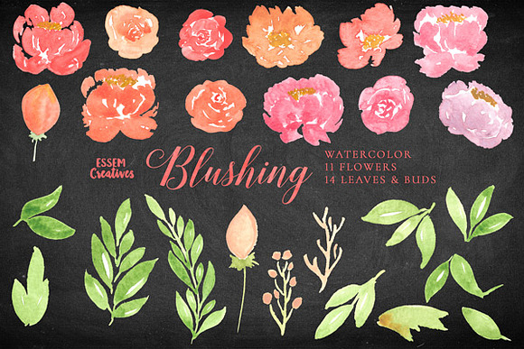 Pink Watercolor Peonies Clipart in Illustrations - product preview 2