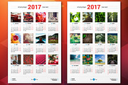 Calendar Poster 2017