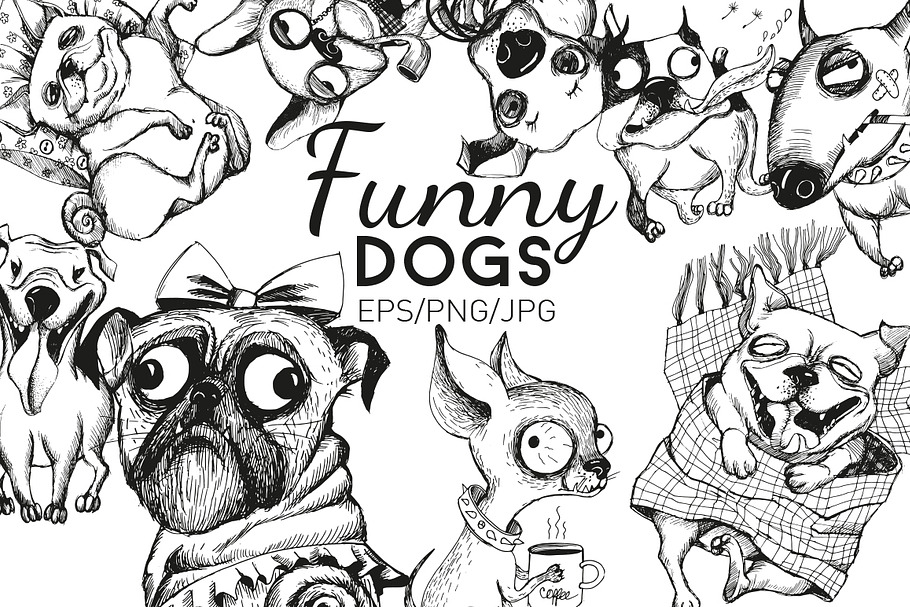 Funny dogs collection