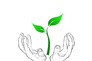 hands holding plant, eco concept
