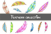 Fantastic colored feathers