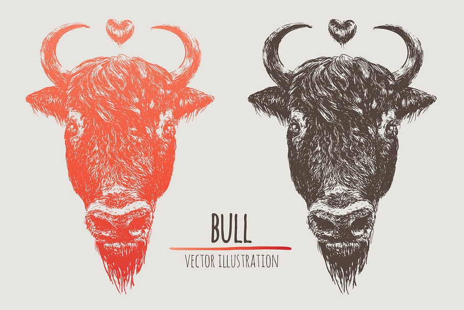 Bull in Illustrations - product preview 8