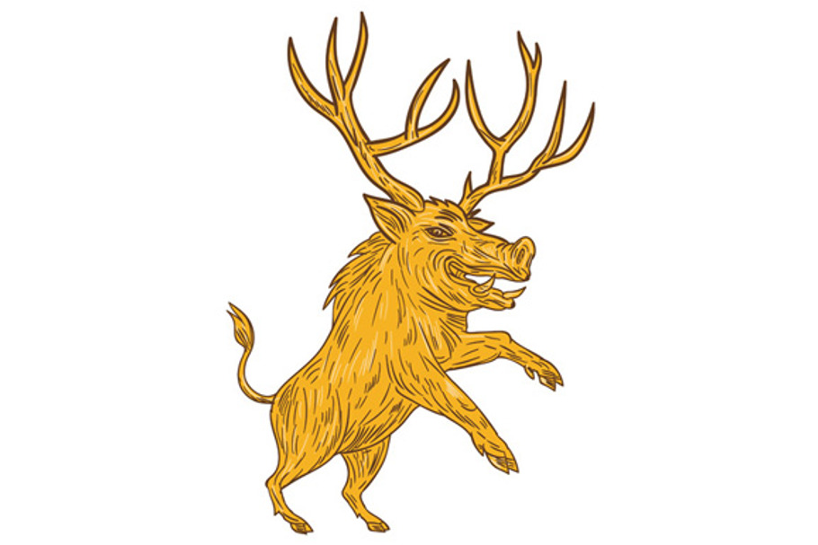 Wild Boar Razorback With Antlers  in Illustrations - product preview 8