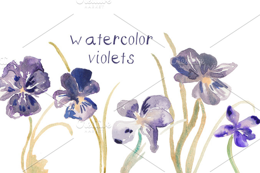 Watercolor Violet Illustrations