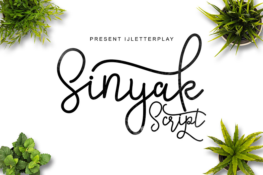 Sinyak Script in Script Fonts - product preview 8