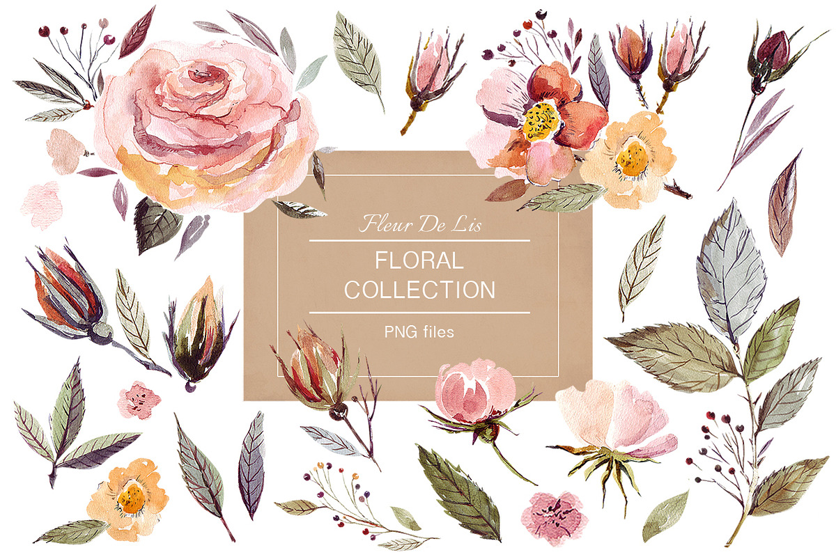 Watercolor Roses Collection in Illustrations - product preview 8