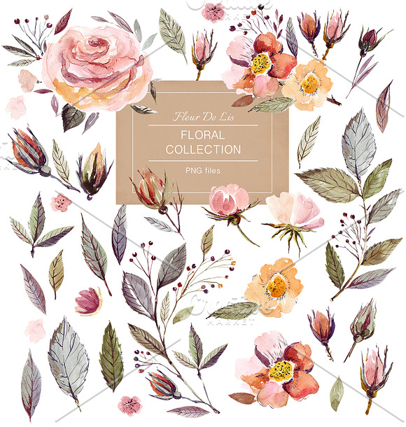 Watercolor Roses Collection in Illustrations - product preview 1