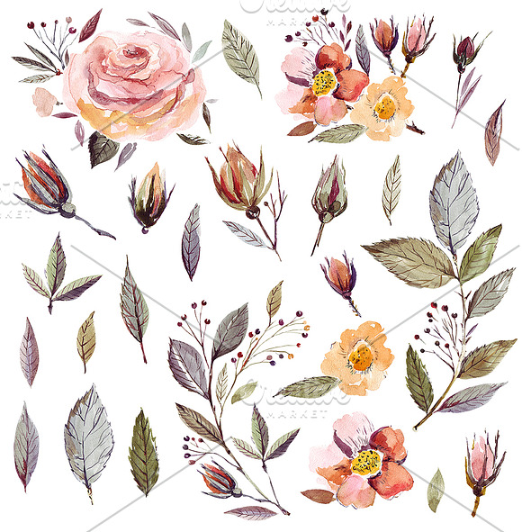 Watercolor Roses Collection in Illustrations - product preview 4