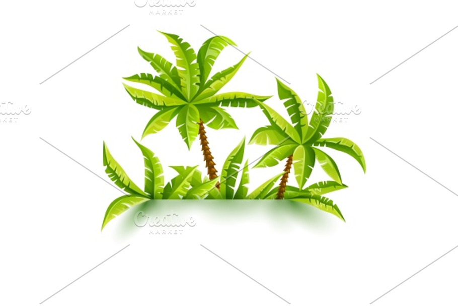 Coconut palms vector illustration jungle forest tropical in Illustrations - product preview 8
