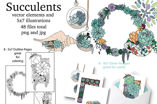 Succulent Elements & Illustrations 