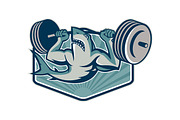 Shark Weightlifter Lifting Weight