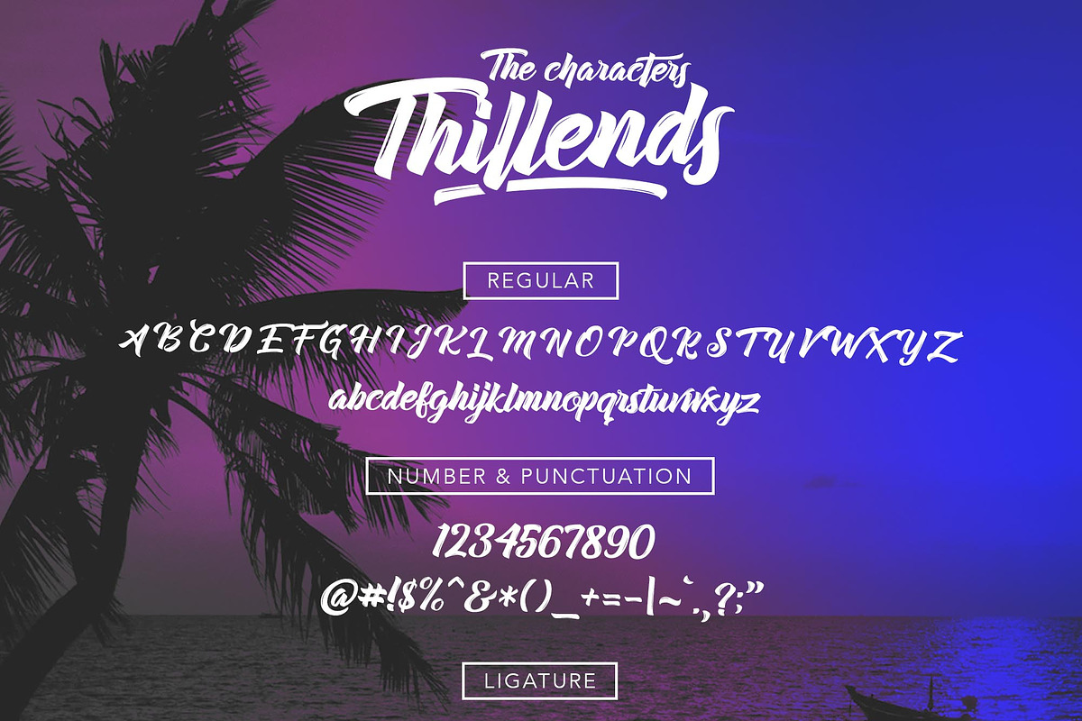 Thillends in Script Fonts - product preview 8