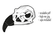 Vulture skull illustration