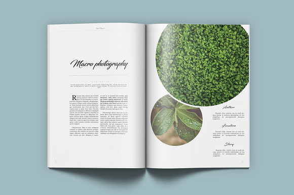 Guido Eco Garden Magazine in Magazine Templates - product preview 1
