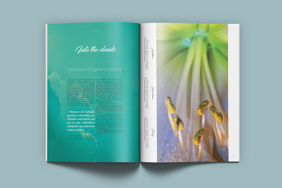 Guido Eco Garden Magazine in Magazine Templates - product preview 3