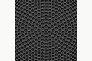Speaker Background
