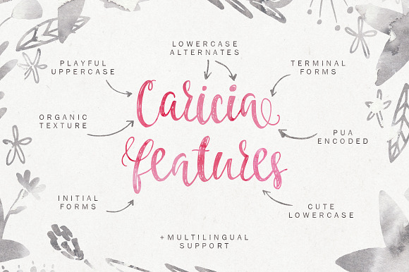 Caricia - handdrawn font in Script Fonts - product preview 1