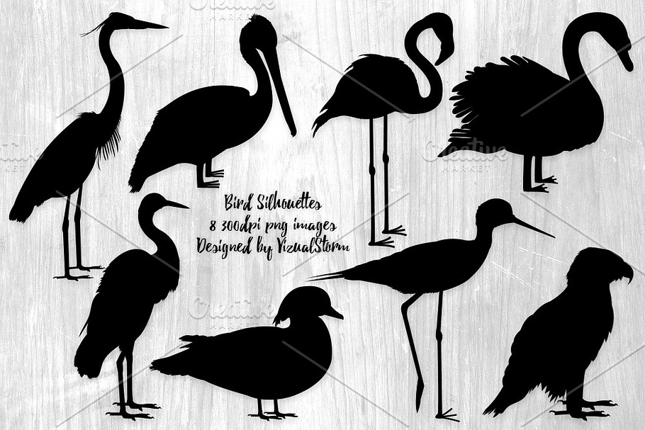 Bird Silhouette Illustrations