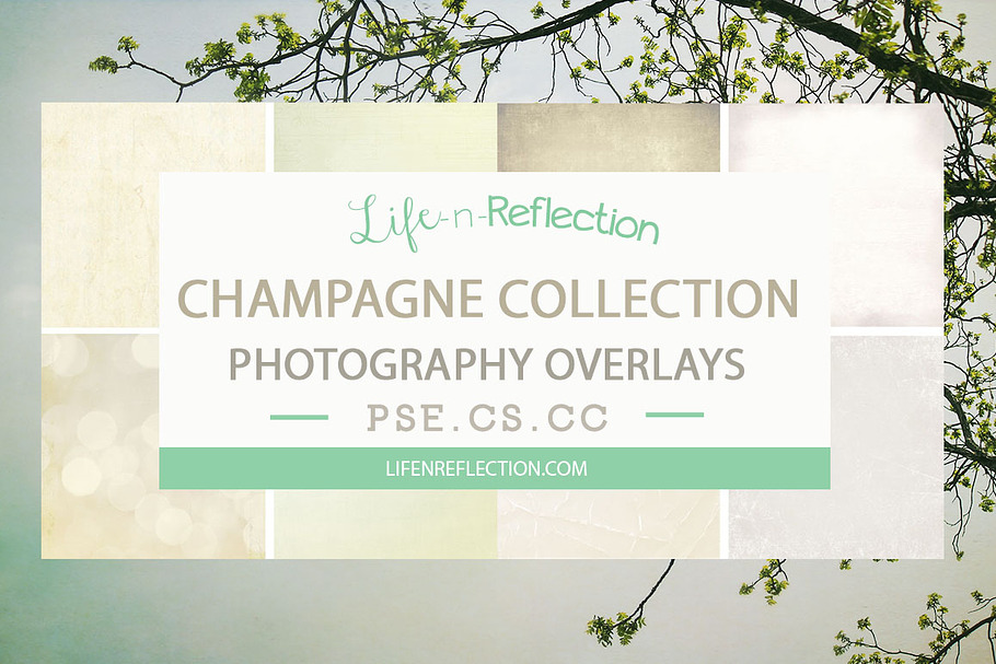 Champagne Overlay Collection Bundle