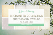 Enchanted Overlay Collection Bundle