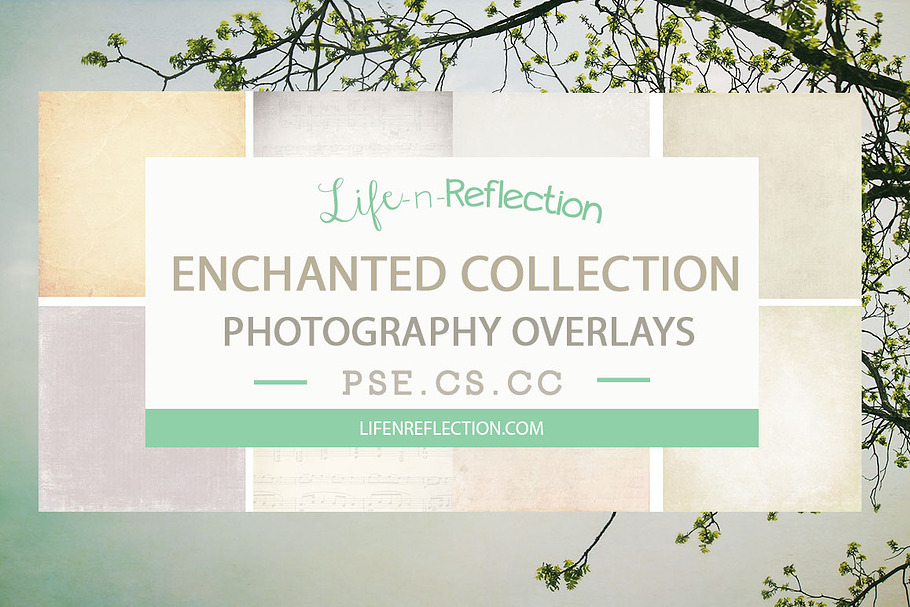 Enchanted Overlay Collection Bundle in Textures - product preview 8