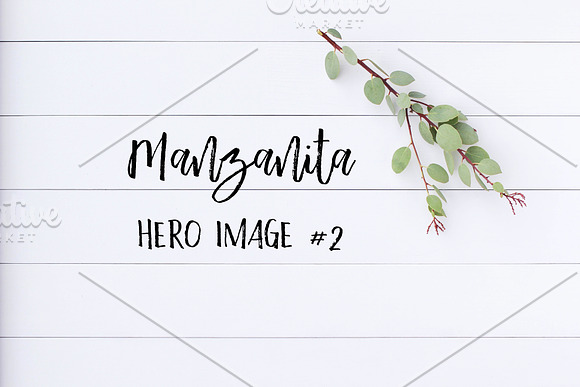 Styled Stock Photo - Manzanita 2 in Product Mockups - product preview 2