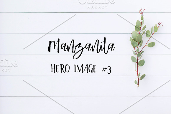 Styled Stock Photo - Manzanita 3 in Product Mockups - product preview 2