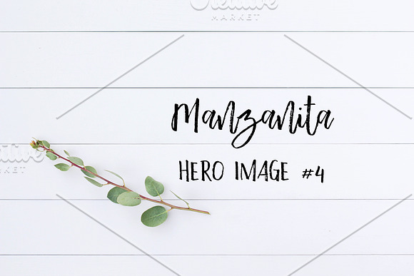 Styled Stock Photo - Manzanita 4 in Product Mockups - product preview 2
