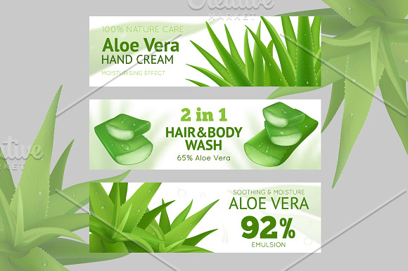 Aloe vera vector set in Illustrations - product preview 2
