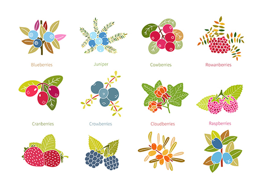 Flat style berries set in Objects - product preview 8