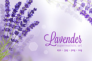 Lavender flower realistic set