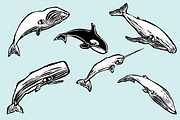 Whale Group