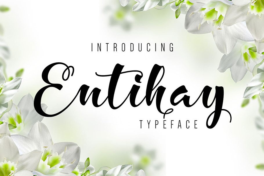 Entihay Typeface in Script Fonts - product preview 8