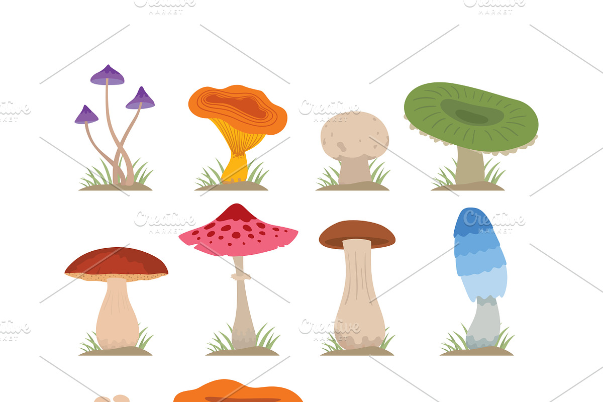 Mushrooms vector set in Illustrations - product preview 8