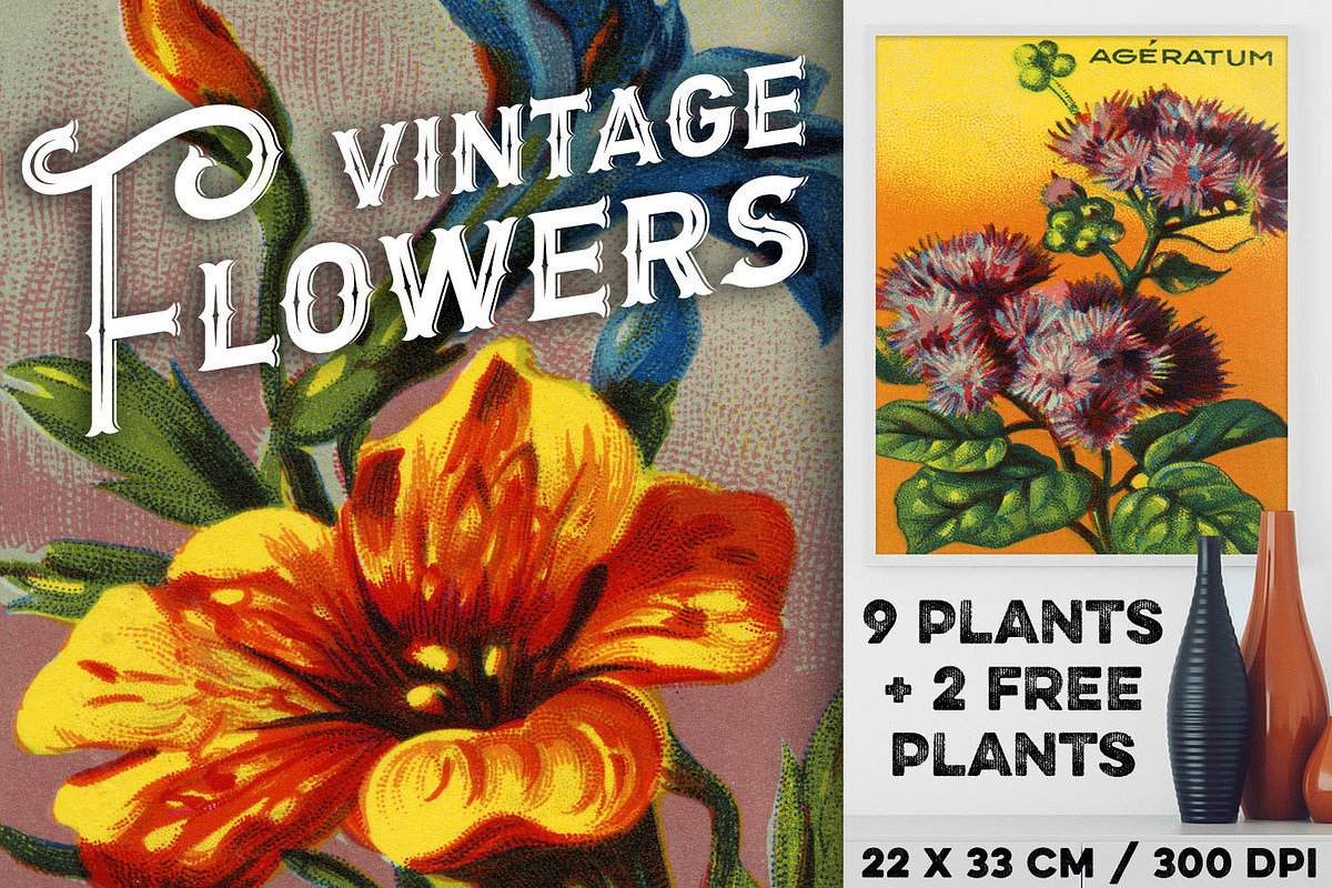 VINTAGE FLOWERS, PACK 1, + 2 BONUS in Illustrations - product preview 8