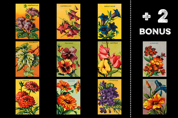 VINTAGE FLOWERS, PACK 1, + 2 BONUS in Illustrations - product preview 1