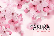 Sakura flower vector set