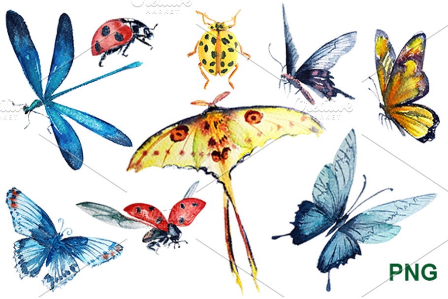 watercolor butterfly illustration in Illustrations - product preview 8