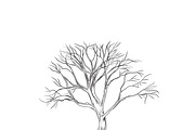 tree in sketch style, vector