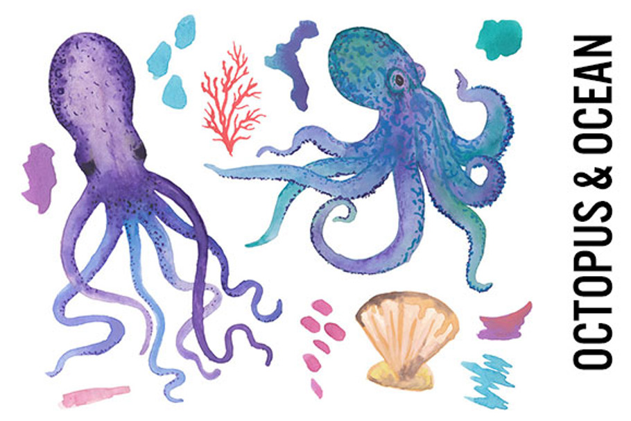 Octopus Watercolor Clipart in Illustrations - product preview 8