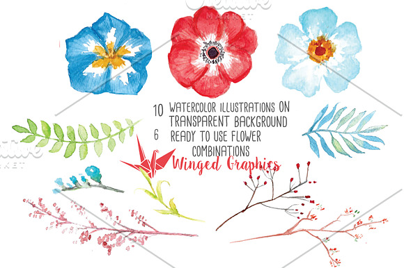 Red and Blue watercolor flowers in Illustrations - product preview 1