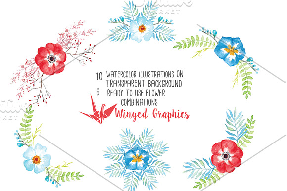 Red and Blue watercolor flowers in Illustrations - product preview 2