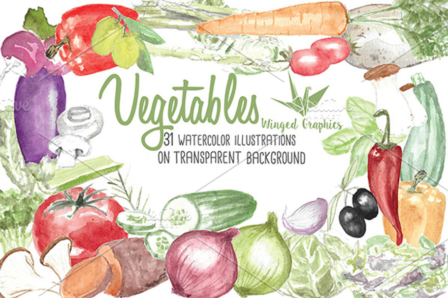 watercolor vegetable illustrations