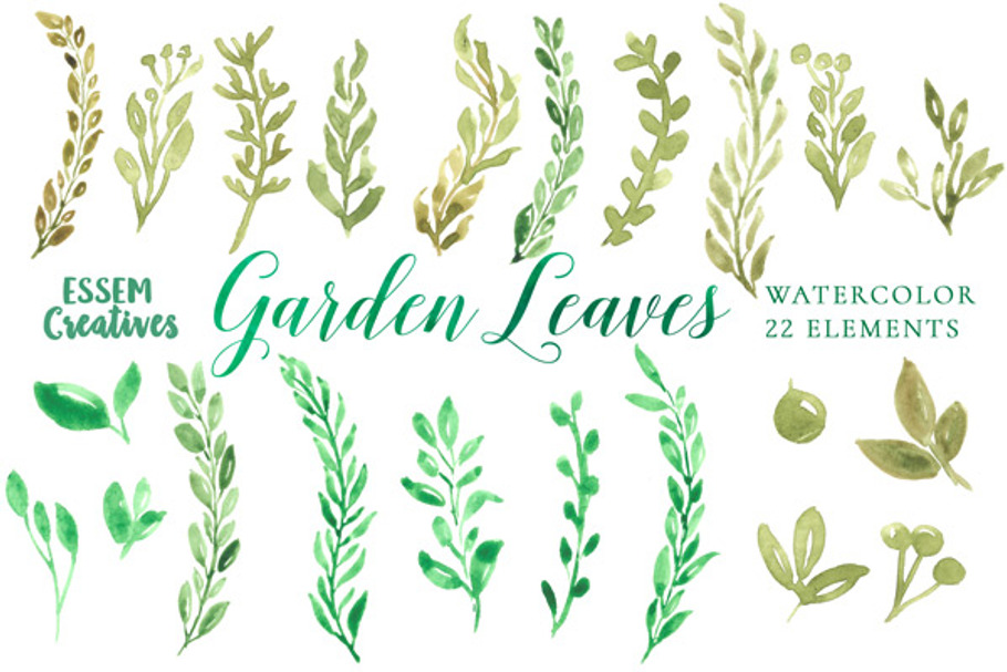 Watercolor Garden Leaves Clipart SET in Illustrations - product preview 8