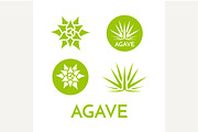 Agave plant green flower