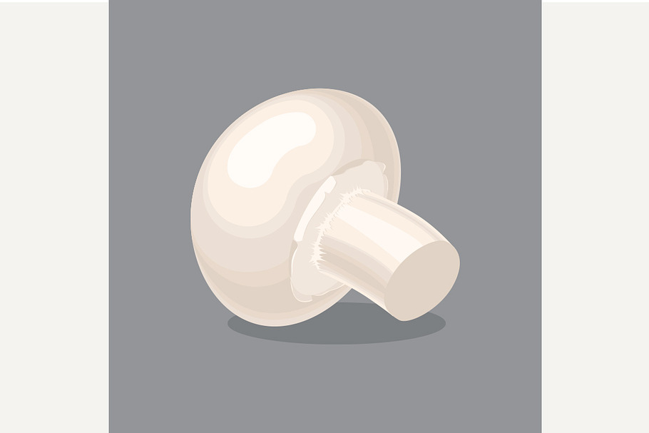 Agaricus, champignon mushroom in Illustrations - product preview 8
