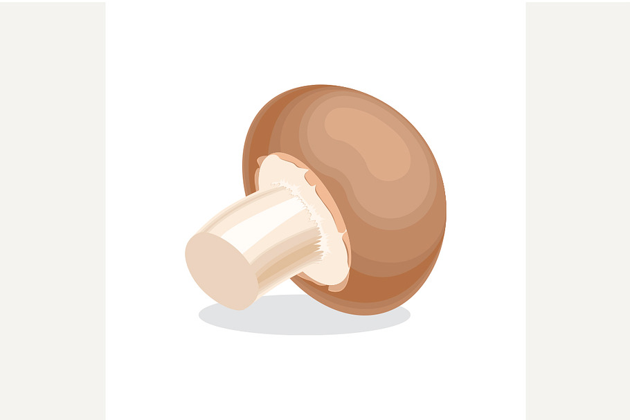 Agaricus, champignon mushroom