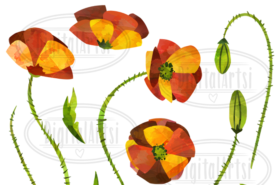 Watercolor Poppies Clipart