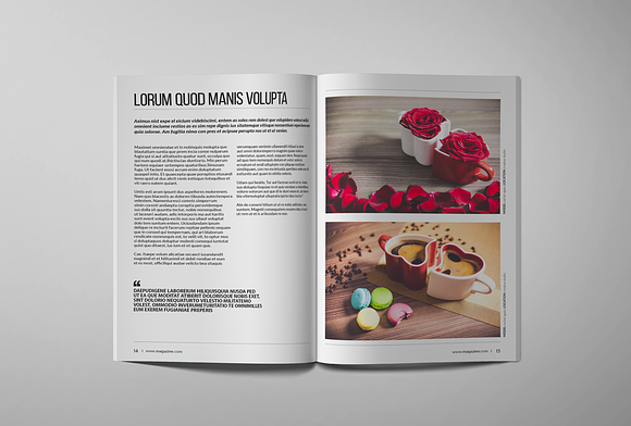Indesign Clean Magazine in Magazine Templates - product preview 5