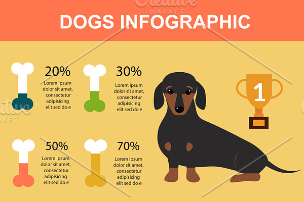 Dog playing infographic vector